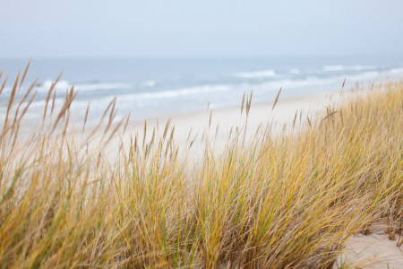 THE BEACH