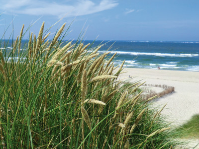 THE BEACH