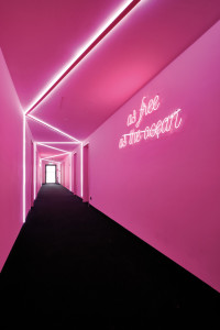 THE FLAMINGO