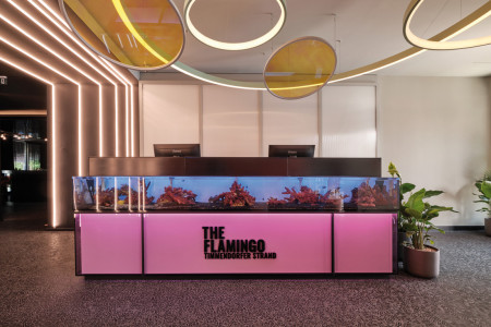 THE FLAMINGO