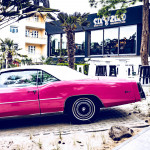 THE FLAMINGO – Wir haben SOMMER!